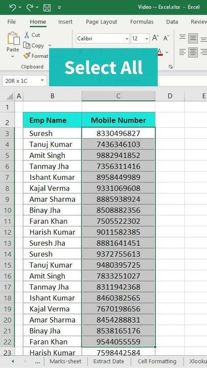 Description of Excel Number Formatting Tips