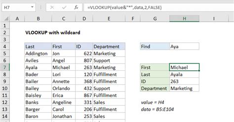 Description of Partial Matching Examples in Excel