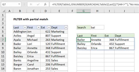Description of Filtering for Partial Matches in Excel