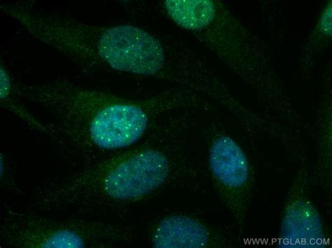 How to Use Reference Cells