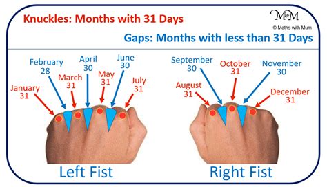 Methods for calculating months