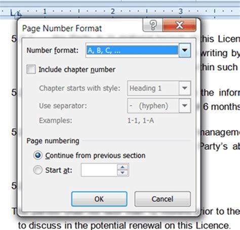 Description of Practical Number Formatting