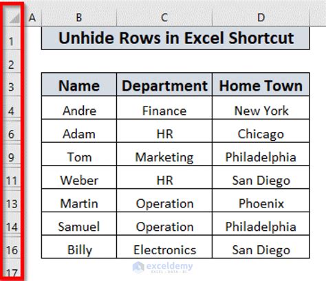 Unhide Rows Excel VBA