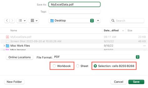Workbook Export Options