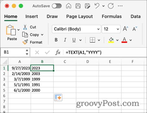 YEAR Function for Date Extraction